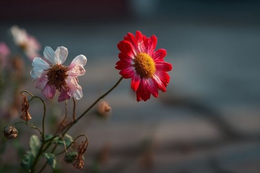 Que faire si je suis attiré(e) par une autre personne ?